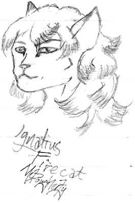 [ Ignatius the firecat; image © me, Neishai ]
