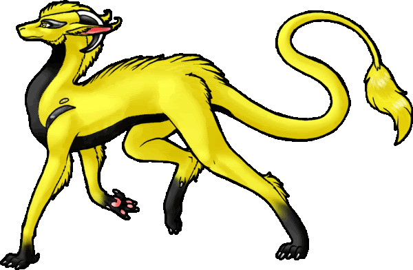 Yellow-Black Vaywee Sislen-Oranato (c) Dracothrope and used with permission