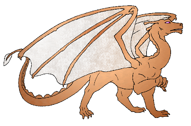 Copper Kedlepth's image (c) Sara